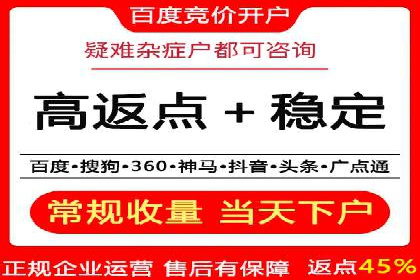 百度竞价代理全攻略：成功案例分享